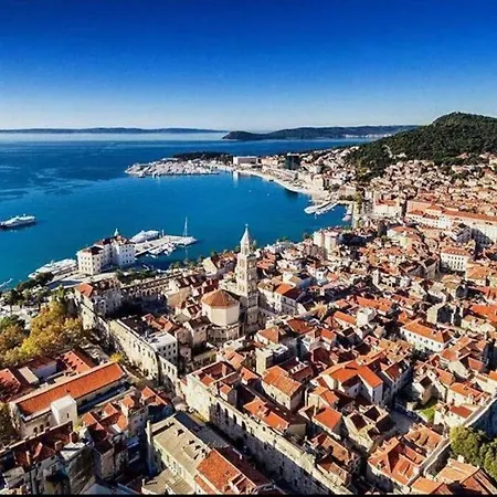 Maslina * Split